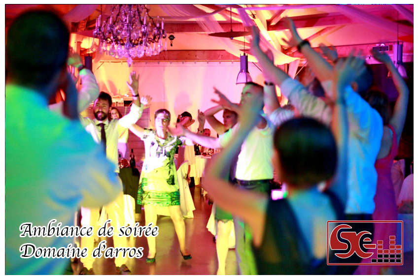 Mariage. Domaine d arros