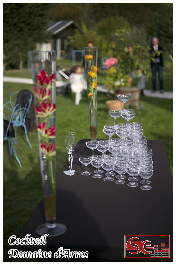 Mariage. Domaine d arros