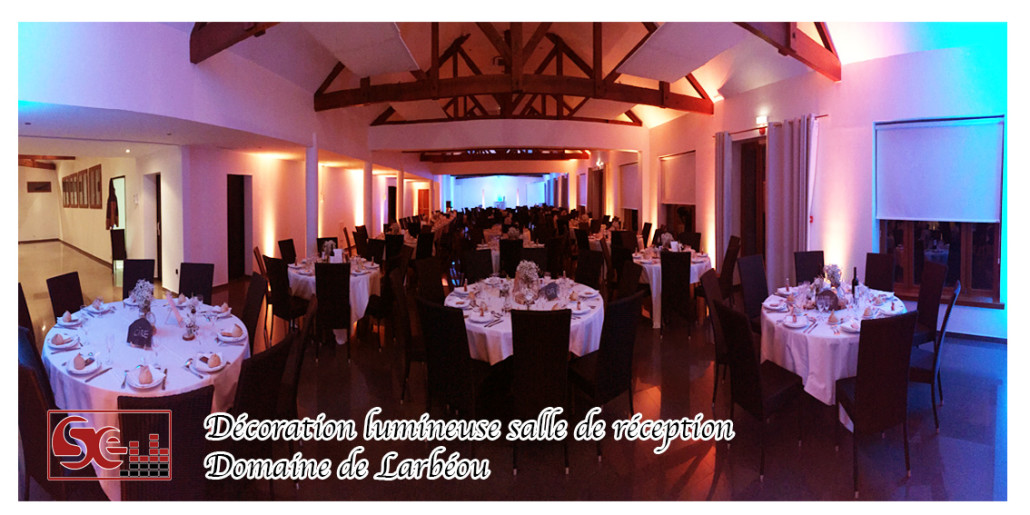 Mariage. Domaine de Larbeou