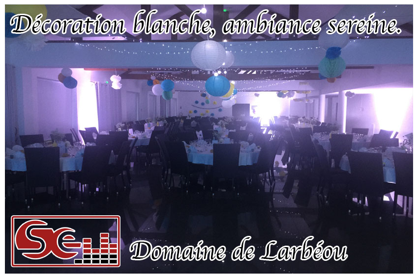 mariage. domaine de larbeou