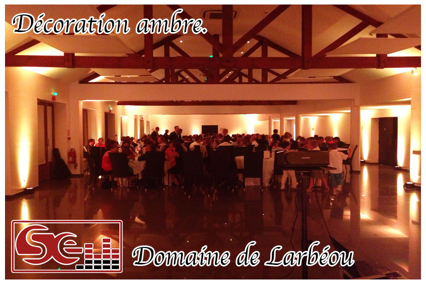 mariage. domaine de larbeou