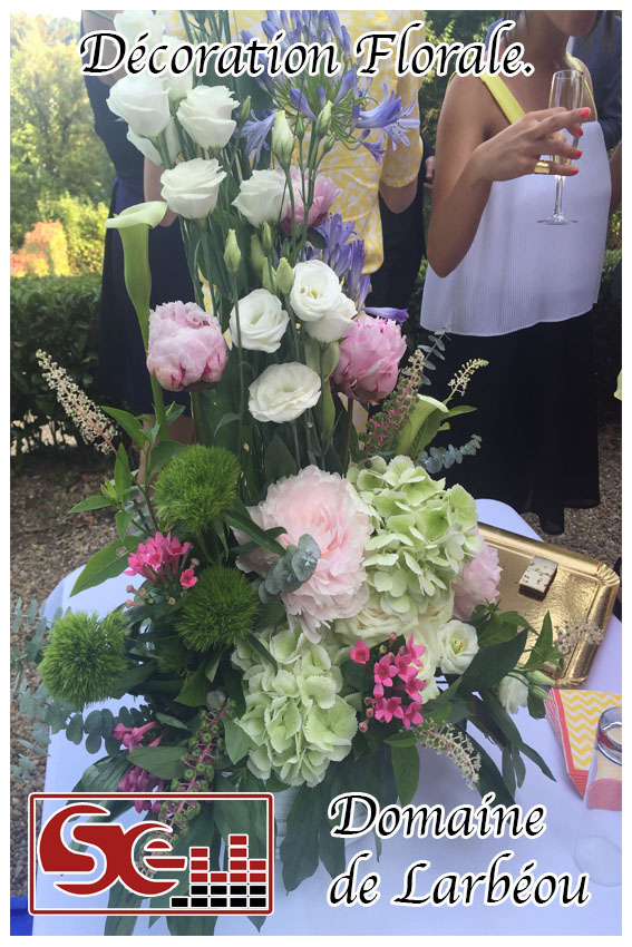 mariage. domaine de larbeou