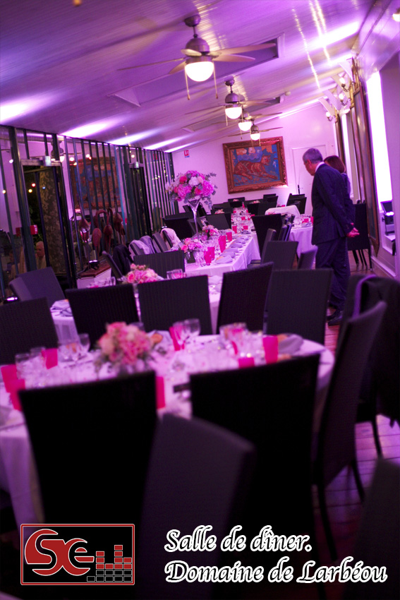 Mariage. Domaine de Larbeou. Maison de maître