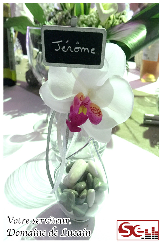 Mariage. Domaine de Lucain