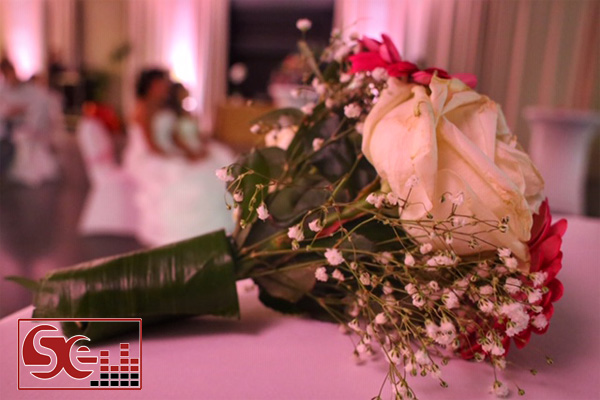 sud evenements sonorisation dj animation mariage pays basque aquitaine dj mariage wedding decoration lumineuse rose mise en lumieres mariees maries domaine de reception traiteur photographe