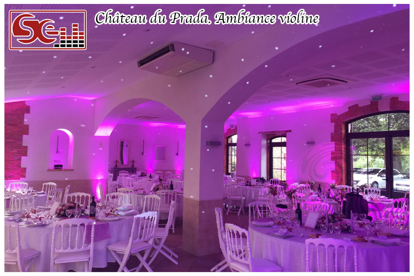 Mariage. Chateau du Prada