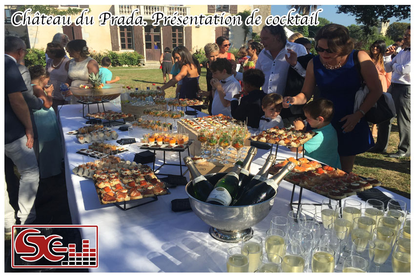 Mariage. Chateau du Prada
