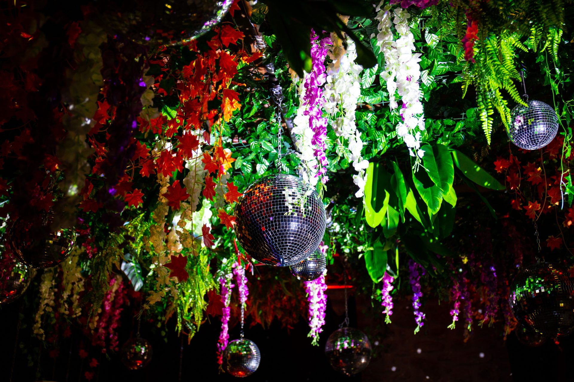 Dancefleurs ambiance piste de danse